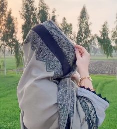 Hifza Anwar, 39 years old, Woman, Mach, Pakistan